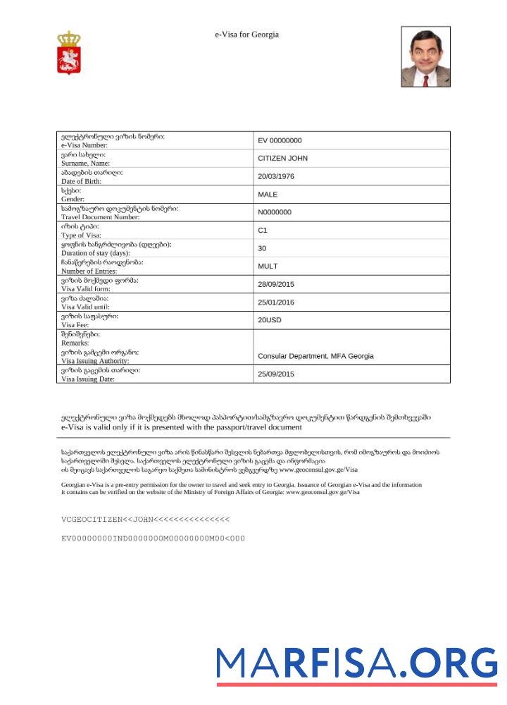 Blank Georgia e visa in Word and Pdf template